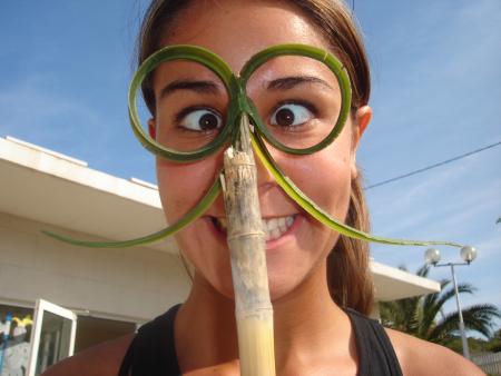 Délire des lunettes